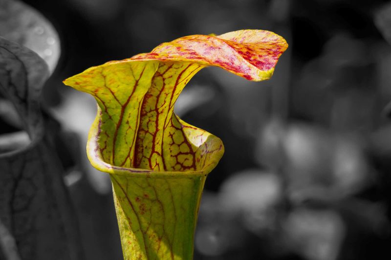 04 Rang 154 Stettler Urs